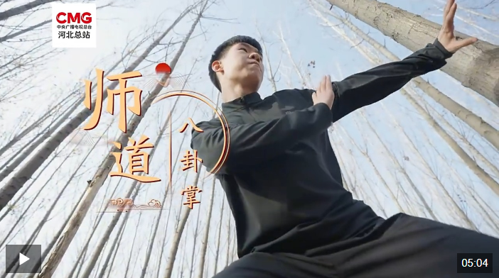 看河北·品非遗八卦掌法变无穷身形步转韵如风(图1)