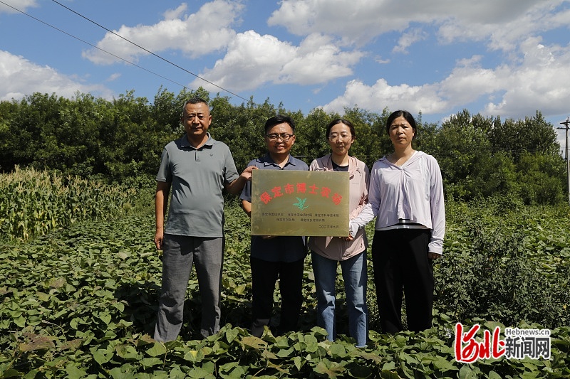 河北农业大学全链条服务助力博野县“苦药材”变成“甜产业”