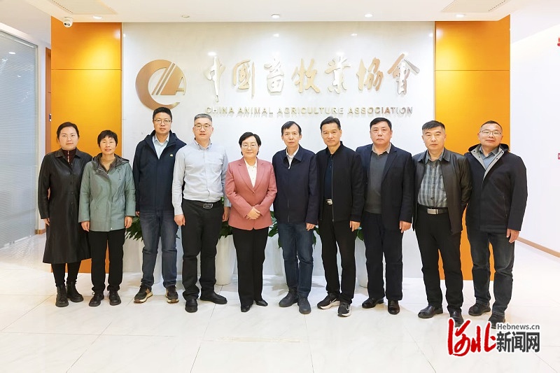 毛皮动物产业现状分析_毛皮动物分会2025年工作部署_2025国际集约化畜牧展览会