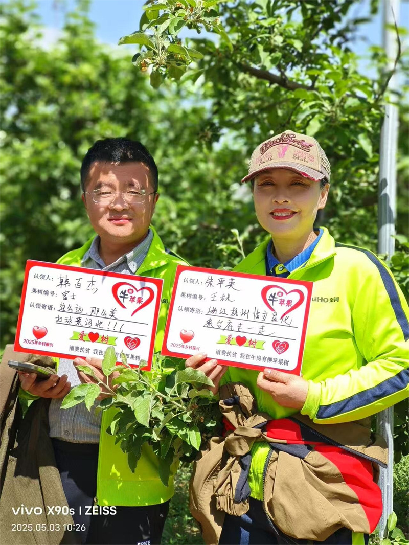 新闻纵深｜小门球“击”出山村大能量(图2)