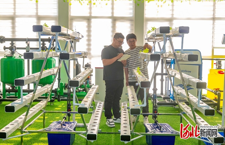 近日，在秦皇岛小马物联网科技有限公司展厅，工作人员在商讨如何进行产品优化。  河北日报记者 赵杰摄.jpg