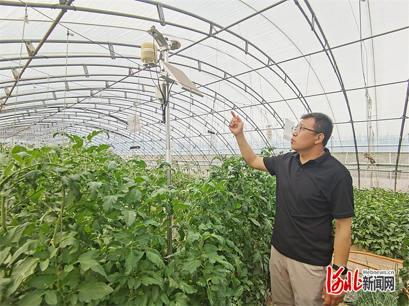 新闻纵深·雄安未来之城场景汇｜智能管控让种菜变得简单(图2)