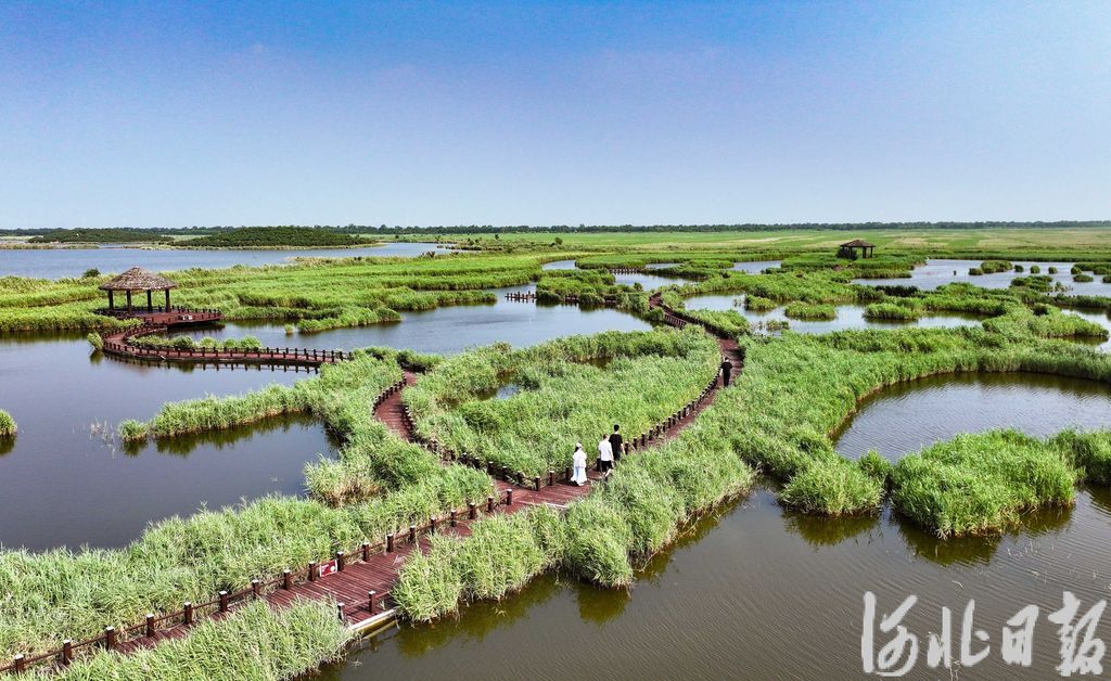 河北修订湿地保护条例加强湿地保护与发展推动人与自然和谐共生(图1)