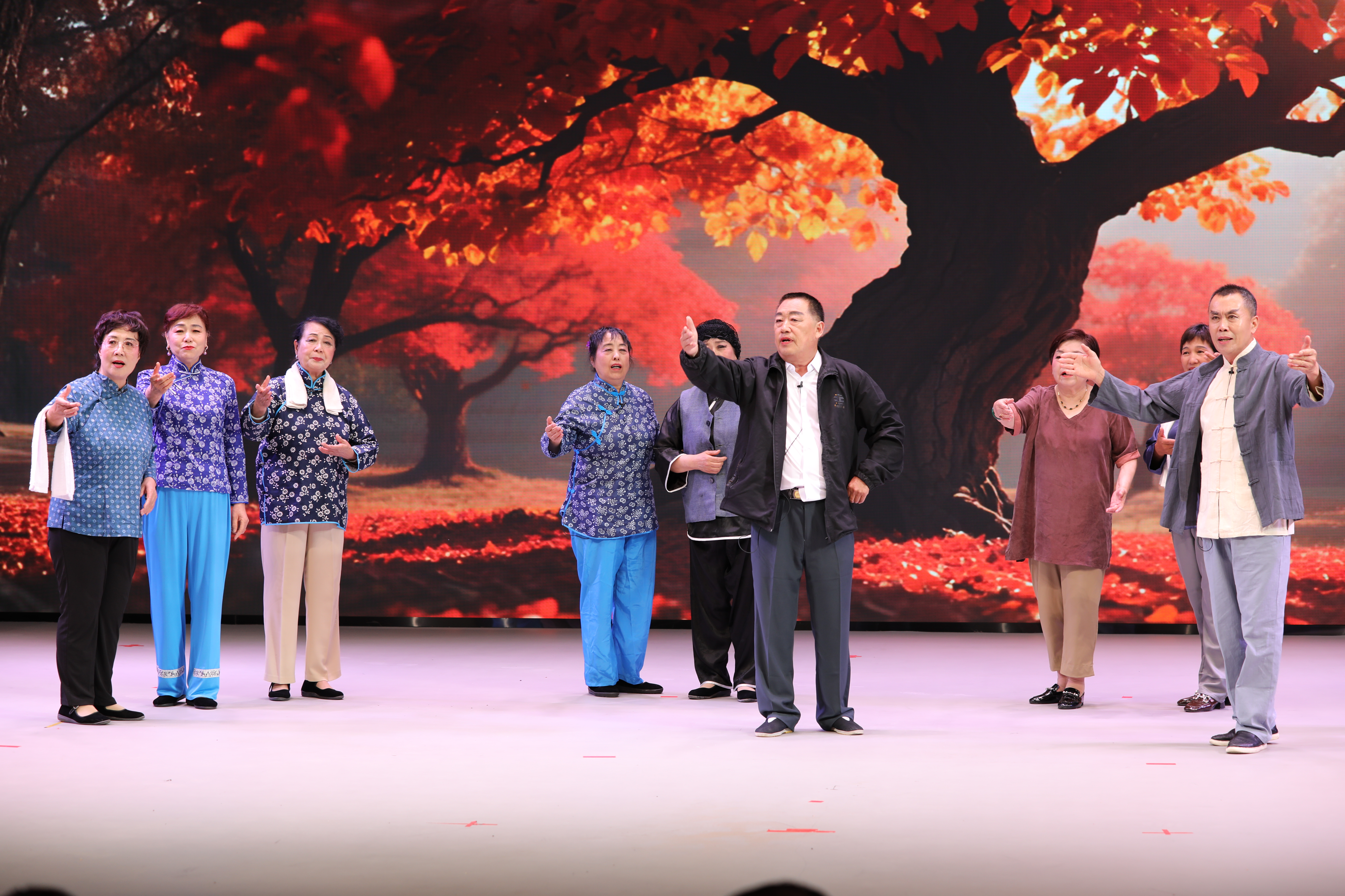 石家庄：文旅服务全面优化品质生活触手可及(图3)